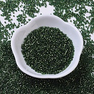 MIYUKI Delica Beads Small, Cylinder, Japanese Seed Beads, 15/0, (DBS0182) Silver Lined Jade Green, 1.1x1.3mm, Hole: 0.7mm, about 3500pcs/10g(X-SEED-J020-DBS0182)