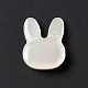 Natural White Shelll Beads(BSHE-C003-01C)-2