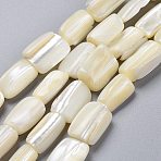 Natural Shell Beads Strands, Rectangle, Light Goldenrod Yellow, 13.5~15.5x7.5~11.5x4.5~8.5mm, Hole: 1mm, about 25pcs/Strand, 15.16 inch(38.5cm)(X-SSHEL-K026-01)