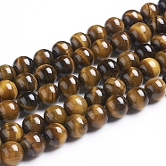 Round Tiger Eye Beads Strands, Grade AB+, Dark Goldenrod, 10mm, Hole: 1mm, about 40pcs/strand(X-Z0RQT013)