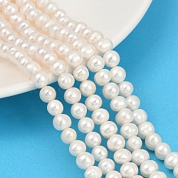 Natural Cultured Freshwater Pearl Beads Strands, Potato, Grade 3A, Seashell Color, 6~6.5mm, Hole: 0.7mm, about 62~63pcs/strand, 14.88~15.08 inch(37.8~38.3cm)(PEAR-I007-07W-01)