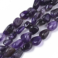 Natural Amethyst Beads Strands, Nuggets, 10~20x5~12x4~10mm, Hole: 1mm, about 35~45pcs/Strand, 15.35~16.14 inch(39~41cm)(G-S363-006A)