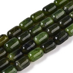 Natural Canadian Jade Beads Strands, Column, 9~9.5x6mm, Hole: 0.9~1mm, about 42~43pcs/strand, 15.24~15.8''(38.7~39.5cm)(G-G980-49A)