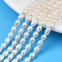 Natural Cultured Freshwater Pearl Beads Strands, Rice, Seashell Color, 6~7.5x4.5~5mm, Hole: 0.6mm, about 51~52pcs/strand, 13.78 inch(35cm)(PEAR-N012-04C)