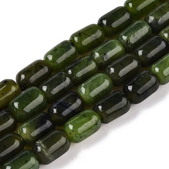 Natural Canadian Jade Beads Strands, Column, 9~9.5x6mm, Hole: 0.9~1mm, about 42~43pcs/strand, 15.24~15.8''(38.7~39.5cm)