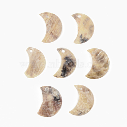 Natural Akoya Shell Pendants, Mother of Pearl Shell Pendants, Moon, Camel, 15x10.5~11.5x1mm, Hole: 1.5mm(SHEL-R048-026)