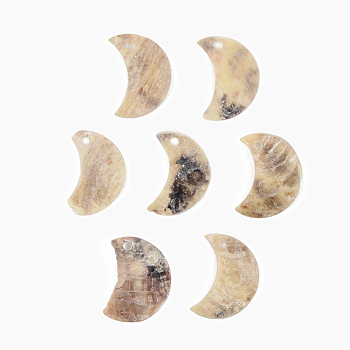 Natural Akoya Shell Pendants, Mother of Pearl Shell Pendants, Moon, Camel, 15x10.5~11.5x1mm, Hole: 1.5mm