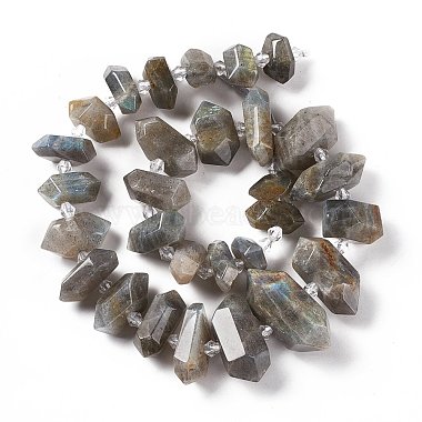 Natural Labradorite Beads Strands(G-F719-23)-2