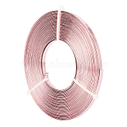 BENECREAT Aluminum Wire, Flat Craft Wire, Bezel Strip Wire for Cabochons Jewelry Making, Plum, 5x1mm, about 10m/roll(AW-BC0003-34B-05)