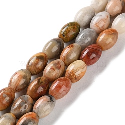 Natural Crazy Agate Beads Strands, Rice, 9x6mm, Hole: 1mm, about 44pcs/strand, 15.94 inch(40.5cm)(G-I369-B05-01)