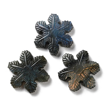 Natural Labradorite Cabochons, Snowflake, 51x46~47x10.5mm