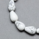 Natural Howlite Gemstone Bead Strands(G-T004-19)-1