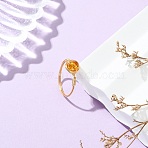 Copper Wired Natural Amber Finger Rings for Women, Round, Golden, Gold, 8mm, Inner Diameter: 19mm(RJEW-JR01052-01)