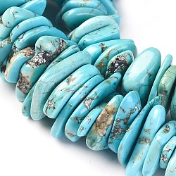 Natural Howlite Chip Beads, Dyed, Nuggets, Turquoise, 11~31x10~25x1~5mm, Hole: 0.6mm, about 20pcs/20g(X-TURQ-L031-010)
