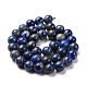 Natural Lapis Lazuli Beads Strands(G-E483-17-10mm)-5