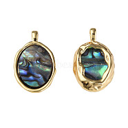 Synthetic Abalone Shell/Paua Shell Pendants, with Real 18K Gold Plated Brass Findings, Nickel Free, Oval, Colorful, 20x12x3mm, Hole: 1.8mm(KK-N233-254)