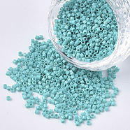 11/0 Grade A Glass Seed Beads, Cylinder, Uniform Seed Bead Size, Baking Paint, Medium Turquoise, about 1.5x1mm, Hole: 0.5mm, about 2000pcs/10g(X-SEED-S030-0729)