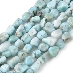 Natural Larimar Beads Strands, Tumbled Stone, Nuggets, 5~11x5~7mm, Hole: 1mm, 15.3 inch~15.7 inch(39~40cm)(G-K203-48)