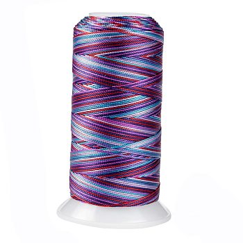 Segment Dyed Round Polyester Sewing Thread, for Hand & Machine Sewing, Tassel Embroidery, Purple, 3-Ply 0.2mm, about 1000m/roll