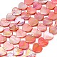 Natural Freshwater Shell Beads Strands(SH-CBA93AD-06C)-1