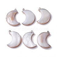 Natural Fresh Shell Pendants, with Brass Findings, Moon Charms, Light Gold, 33x26x5mm, Hole: 1.8mm(SHEL-P015-08KCG)
