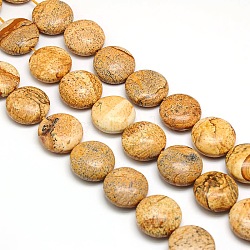 Natural Flat Round Picture Jasper Beads Strands, 20x7~9mm, Hole: 1mm, about 20pcs/strand, 15.74 inch(G-L246-17)
