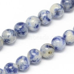 Natural Blue Spot Jasper Bead Strands, Round, 10mm, Hole: 1mm, about 40pcs/strand, 15.7 inch(G-R193-15-10mm)