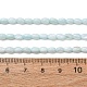 Dyed Natural Freshwater Shell Beads Strands(SH-CBA2978-06C)-4