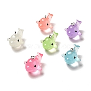 Luminous Translucent Resin Pendants, Shark Charm, with Platinum Tone Iron Loops, Mixed Color, 20.5x23x27mm, Hole: 2.5mm(RESI-A017-07)