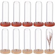 Nbeads 10Pcs 2 Colors Glass Dome Cover, Decorative Display Case, Cloche Bell Jar Terrarium with Wooden Base, Mixed Color, 40x12mm, 5pcs/color(DJEW-NB0001-17)