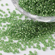 12/0 Silver Lined Round Glass Seed Beads, Yellow Green, 2~3x1.5~2mm, Hole: 0.8~1mm, about 37500pcs/pound(SEED-K003-2mm-M07-04)