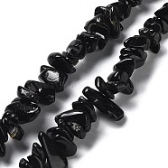 Natural Tourmaline Beads Strands, Chip, 1~8x5~17x5~8mm, Hole: 0.9~1mm, 30.31~31.50''(77~80cm)(G-M205-80)
