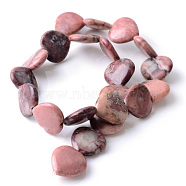 Natural Red Picture Jasper Beads Strands, Heart, 14.5~15.5x15.5~16.5x4mm, Hole: 1.5mm, about 28pcs/strand, 15.35~15.55 inch(39~39.5cm)(G-R356-08)