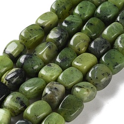 Natural Canadian Jade Beads Strands, Cuboid, 7.5~11.5x5.5~9x5.5~9mm, Hole: 1mm, about 41~42pcs/strand, 14.96~15.83 inch(38~40.2cm)(G-P497-01D-01)