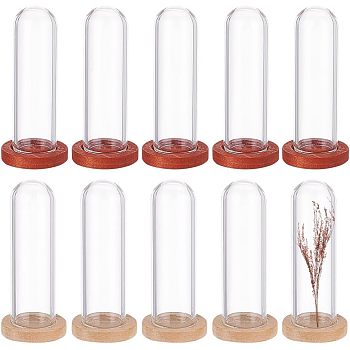 Nbeads 10Pcs 2 Colors Glass Dome Cover, Decorative Display Case, Cloche Bell Jar Terrarium with Wooden Base, Mixed Color, 40x12mm, 5pcs/color