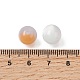 Resin Beads(RESI-H044-10D)-3