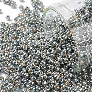 TOHO Round Seed Beads, Japanese Seed Beads, (PF565) PermaFinish Silver Grey Metallic, 11/0, 2.2mm, Hole: 0.8mm, about 1110pcs/10g(X-SEED-TR11-PF0565)