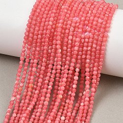 Dyed Synthetic Rhodochrosite Beads Strands, Smooth Round, 2mm, Hole: 0.5mm, about 162pcs/strand, 14.96''(38cm)(GG-CBA0389-A03-2mm)