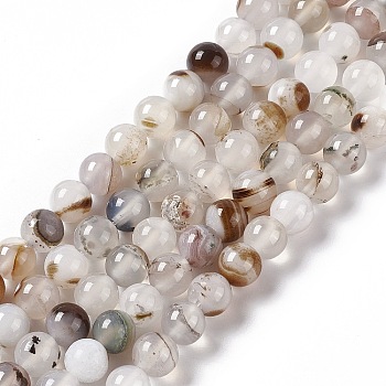 Natural Dendritic Agate Beads Strands, Grade AB, Round, 8mm, Hole: 1.2mm, about 49pcs/strand, 14.96 inch(38cm)