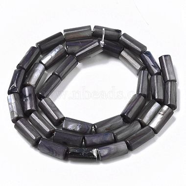Natural Freshwater Shell Beads(SHEL-R047-01A)-2