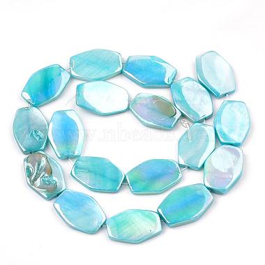 AB Color Freshwater Shell Bead Strands(SHEL-T009-04)-2