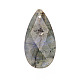 pendentifs labradorite naturelle(PW-WGD145F-07)-1