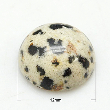 Gemstone Cabochons, Half Round/Dome, Dalmatian Jasper, 12x5mm