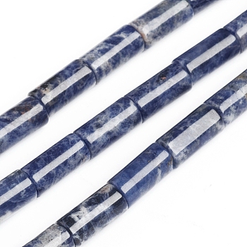 Natural Sodalite Beads Strands, Column, 15.5~16.8x8mm, Hole: 1.2mm ,15.35 inch(39 cm), about 24pcs/strand, 15.35 inch(39cm)