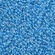 11/0 Grade A Round Glass Seed Beads(SEED-N001-F-256)-2