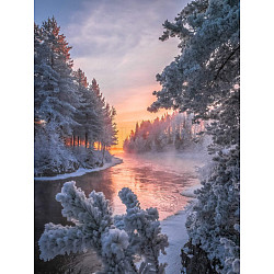 DIY Rectangle Forest Snow Scenery Theme Diamond Painting Kits, Including Canvas, Resin Rhinestones, Diamond Sticky Pen, Tray Plate and Glue Clay, Snow, 400x300mm(PW-WG20335-01)