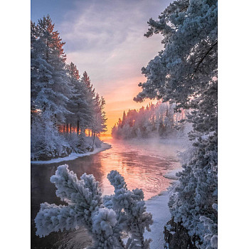 DIY Rectangle Forest Snow Scenery Theme Diamond Painting Kits, Including Canvas, Resin Rhinestones, Diamond Sticky Pen, Tray Plate and Glue Clay, Snow, 400x300mm