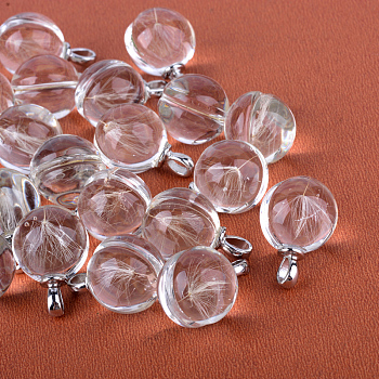 Round Alloy Glass Pendants, Cadmium Free & Lead Free, with Dried Dandelion Inside, For Dandelion Wish Necklaces Making, Platinum, 22~23x15mm, Hole: 4.5x2.5mm