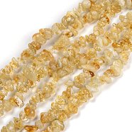 Natural Citrine Beads Strands, Dyed & Heated, Chip, 3~16x3~8mm, Hole: 0.7mm, 32.28''(82cm)(X-G-F703-04)