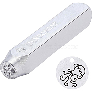 Iron Seal Stamps, Stamping Tools, for Leather Craft, 12 Constellations Patterns, Aquarius, 65.5x10mm(AJEW-BC0001-05H)